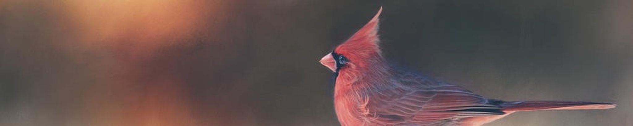 Cover for Patricia Anne Finnegan's Obituary