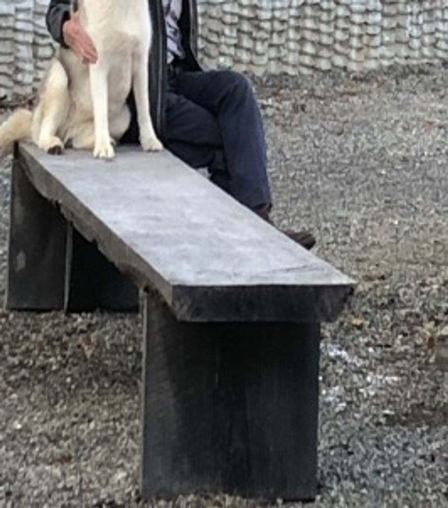 James "Jimmy" Edward Harwood