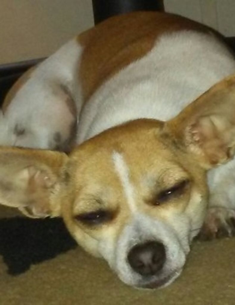 Temperance  Whitaker