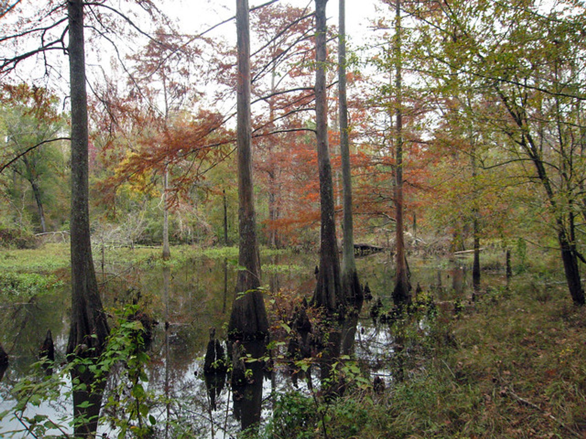 Cover photo for Alton Ray Barron's Obituary