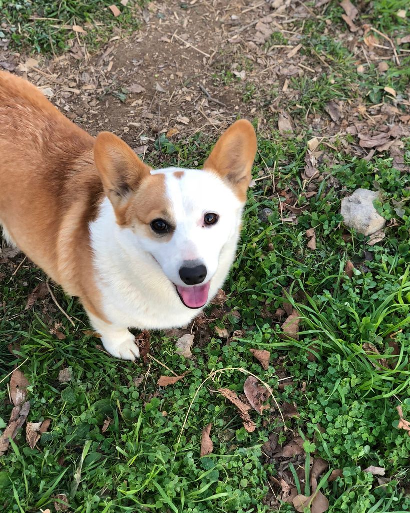 Areial Rolen Profile Photo