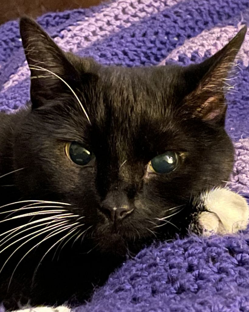 Ariadne Daily Profile Photo