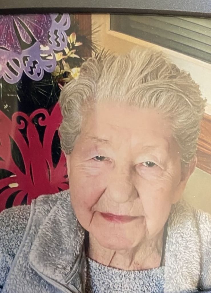 Shirley Ann (Wells)  Adams