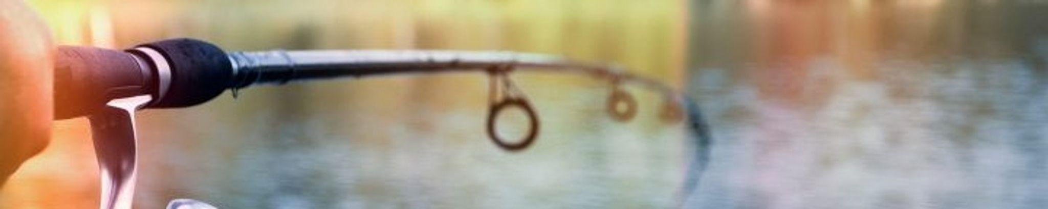 Cover for Richard H. Wilson's Obituary