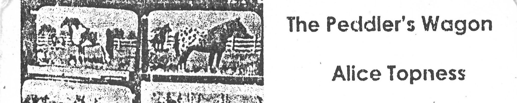 Cover photo for Alice Jacquiline Topness's Obituary