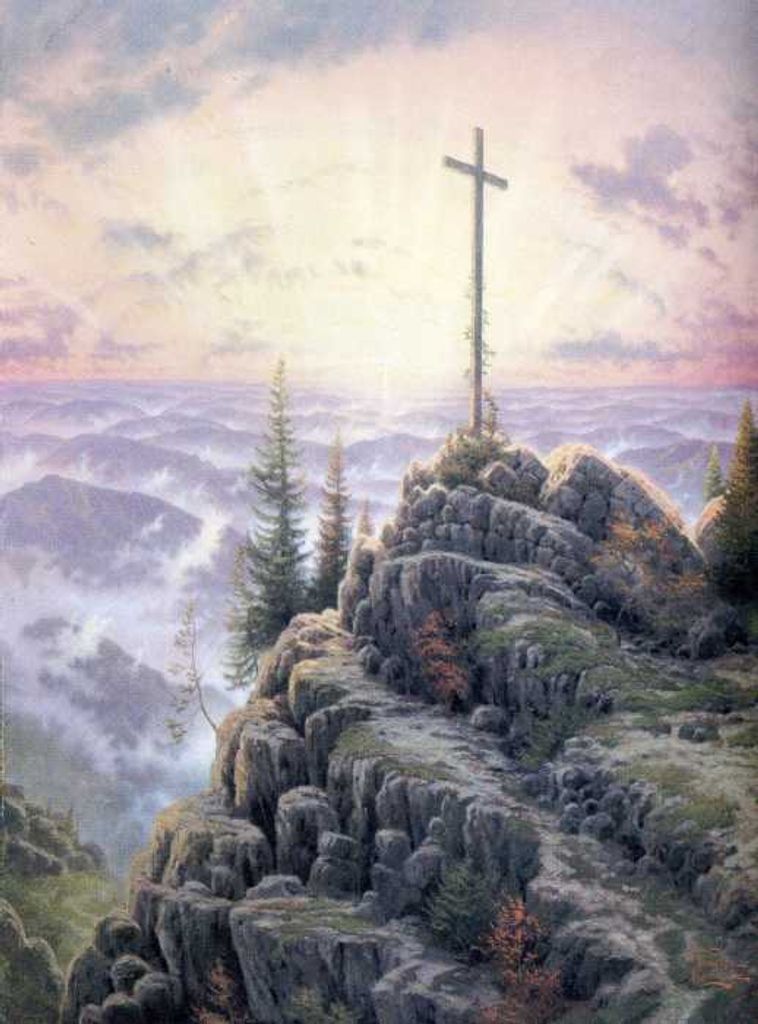 Theresa Ringshauser