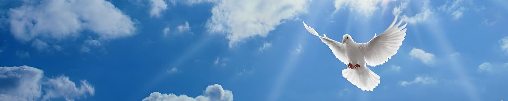 Cover photo for Otis George Jr.'s Obituary