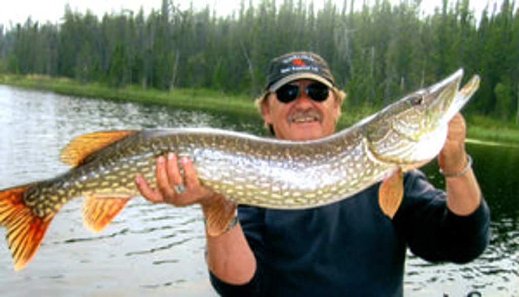 Garry Odorjan Profile Photo