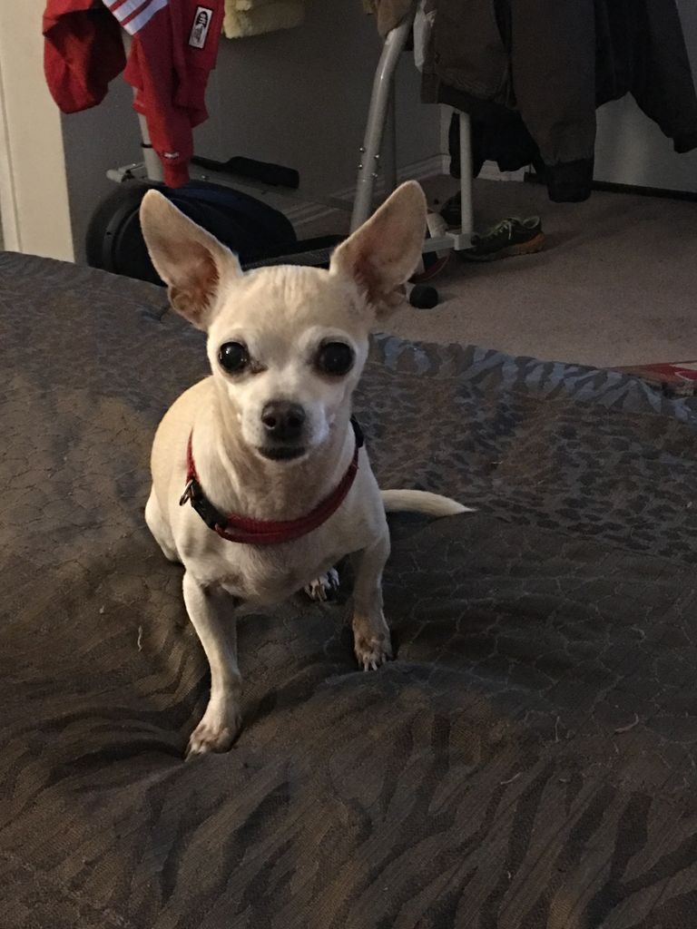 Tinker Profile Photo
