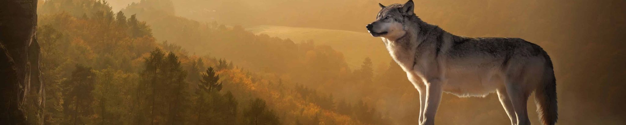 Cover for Ansel Lloyd Markin's Obituary