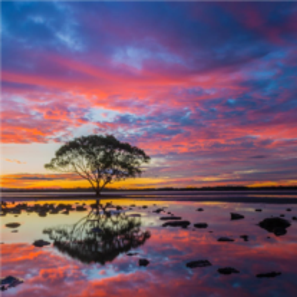 Clarence Brantley Devore