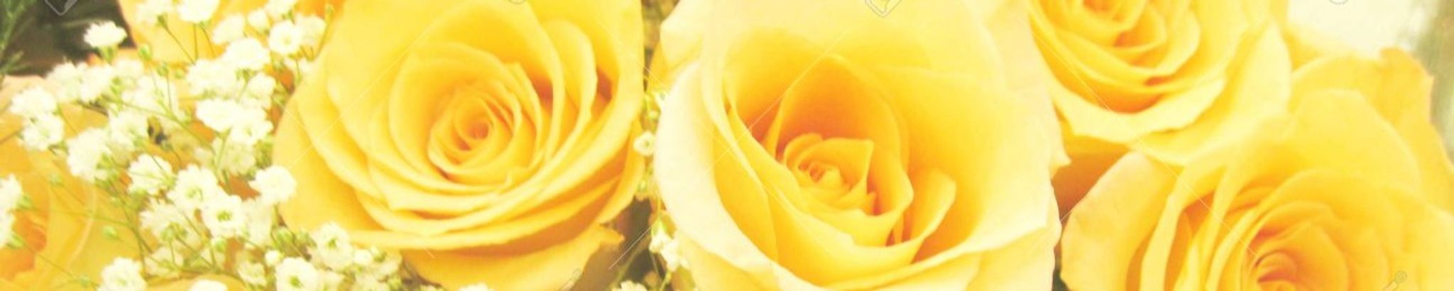 Cover photo for Maria H. Munoz's Obituary