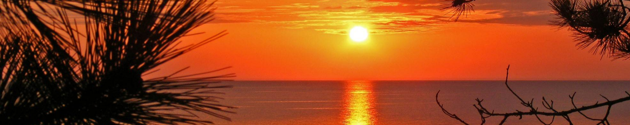 Cover photo for Laurie Ruth Farris's Obituary