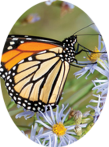 Hudson Theo Gallagher-Whisenhunt Profile Photo