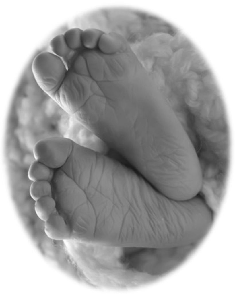 Baylor Daniel Peterson