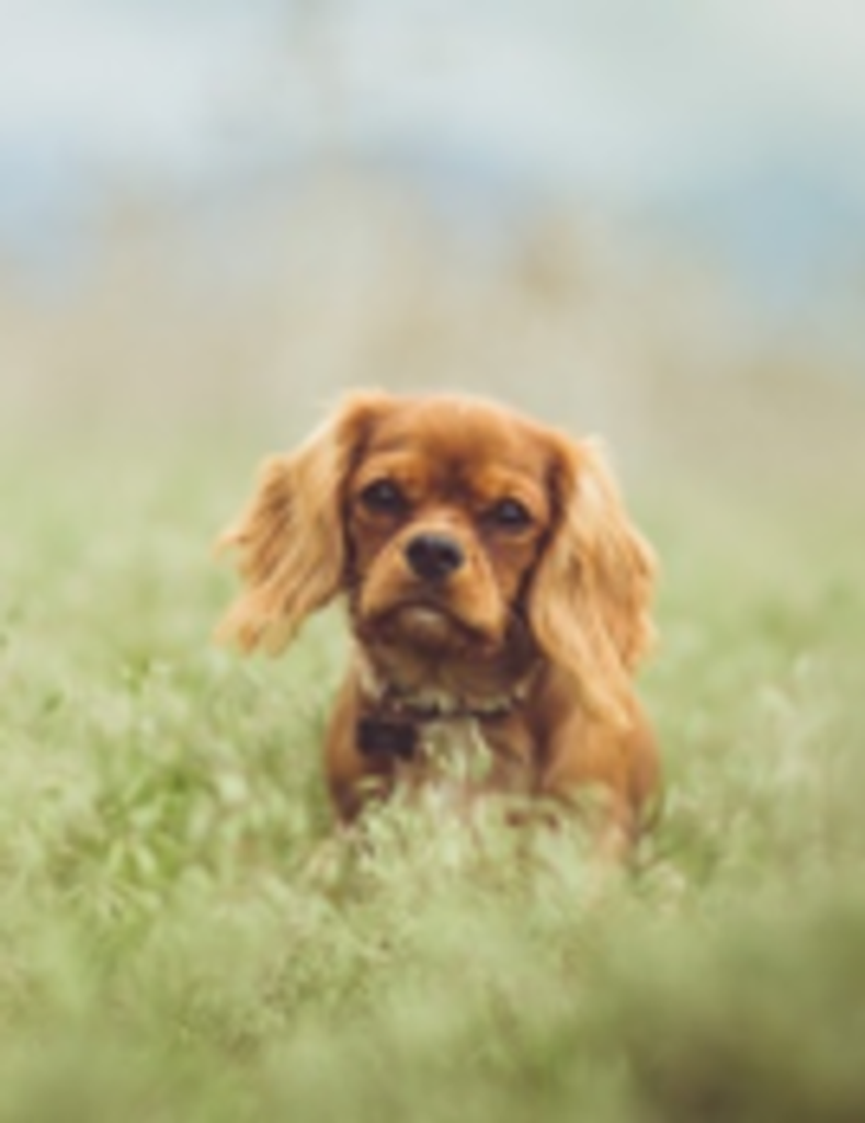Miss. Margaret "Maggie" Naomi Jo Moses Profile Photo