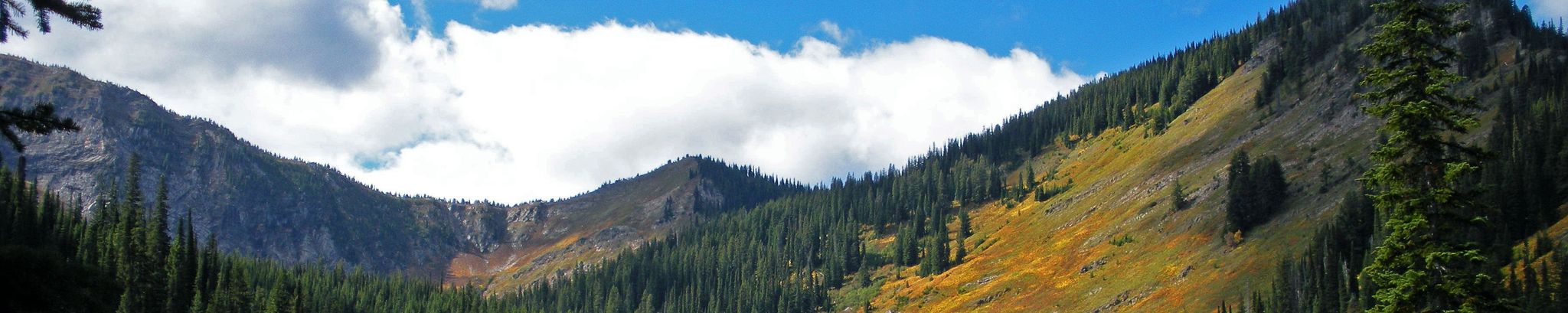 Cover photo for Patricia "Patty" Nakasone's Obituary