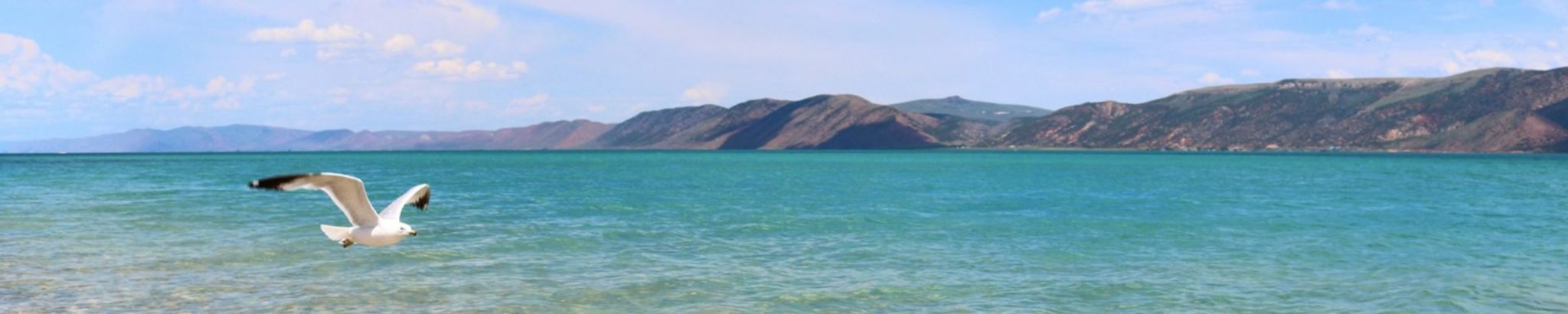 Cover photo for Ellen Rice's Obituary