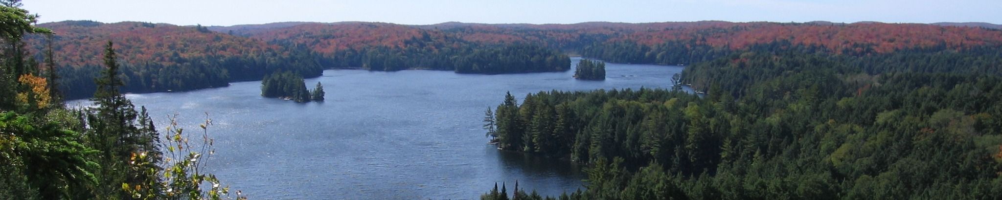 Cover for Michael J. Donohue, Sr.'s Obituary