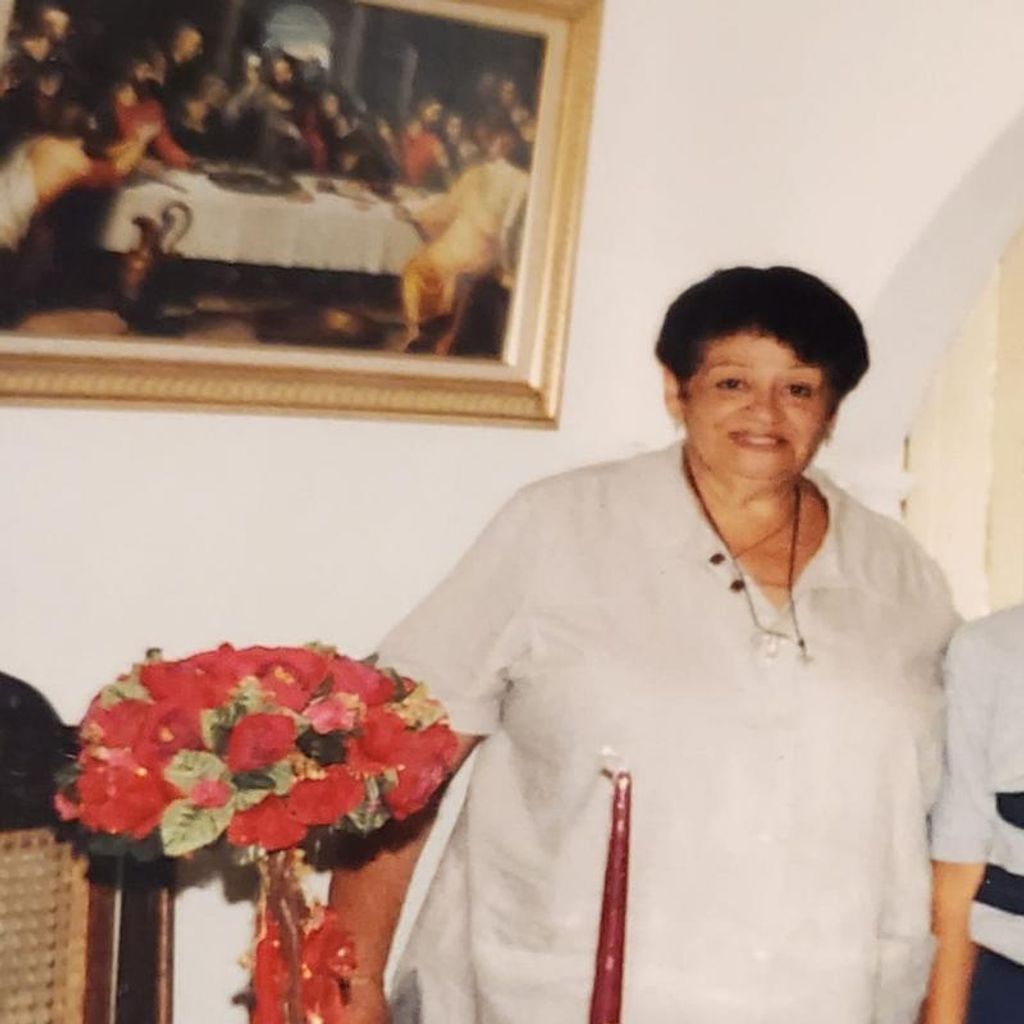 Ana Luisa Báez Navarro Profile Photo