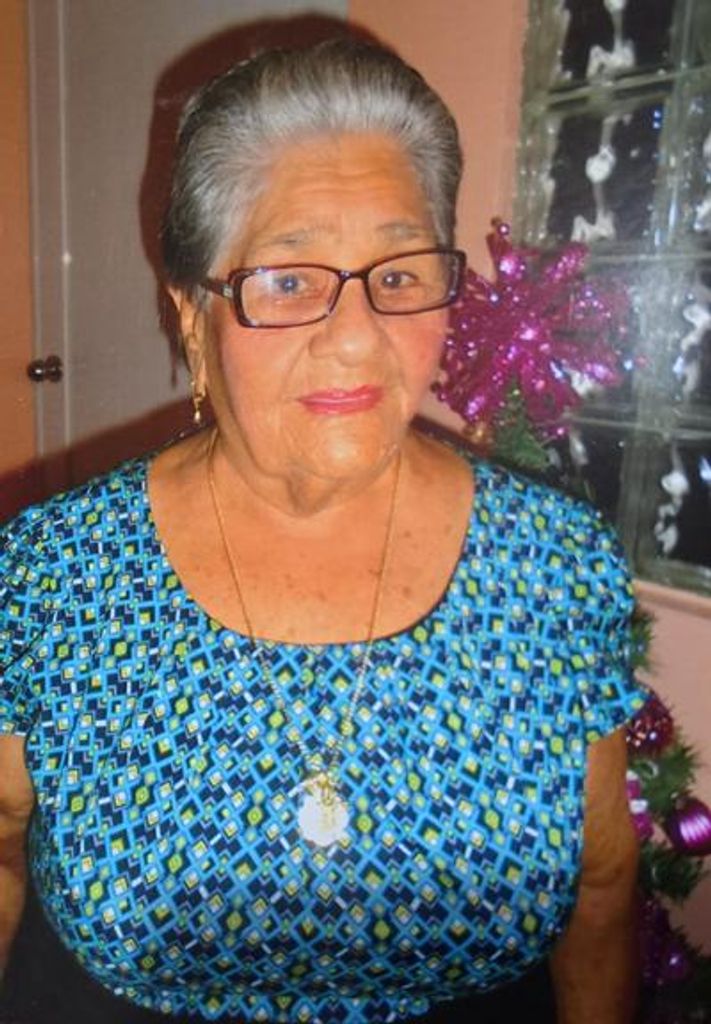 Dominga "Minga" Bonilla - Bonet Profile Photo