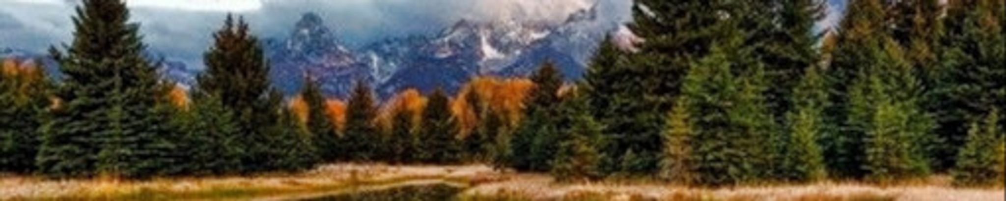 Cover photo for Bobby Ellis Osborne's Obituary