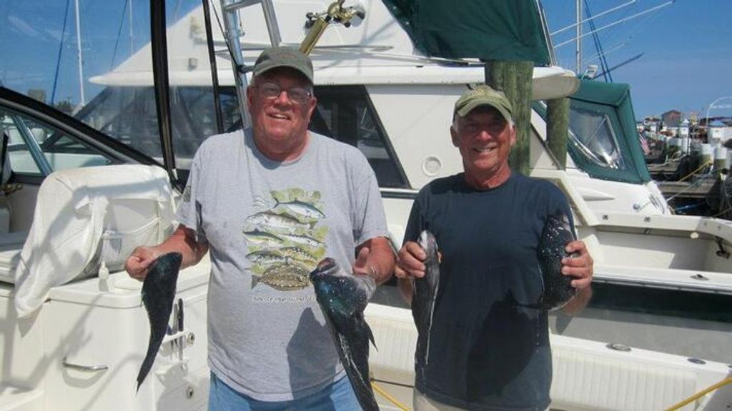 Harry "Rocky" Gable, Jr. Profile Photo