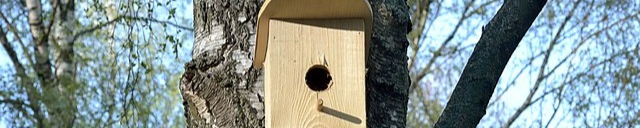 Cover for Freeman Duff's Obituary