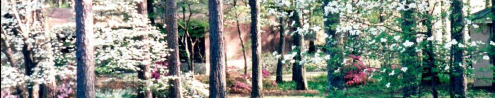Cover for Albert S. Greene Jr.'s Obituary