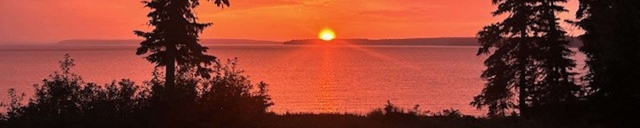 Cover for Marilyn Ingram's Obituary