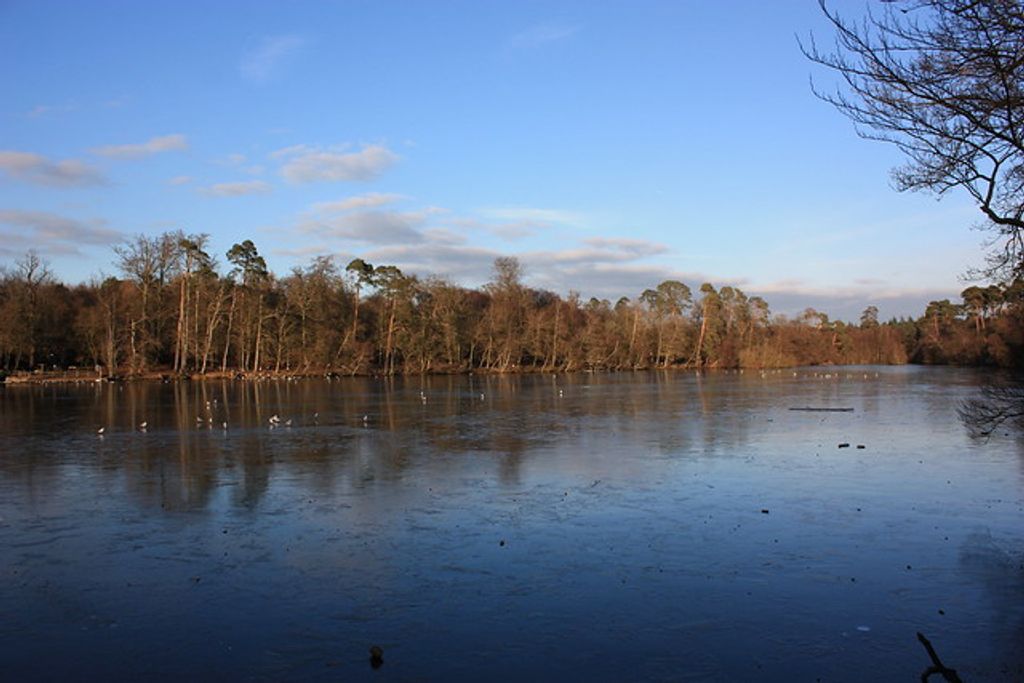 George Patrick Chester Profile Photo