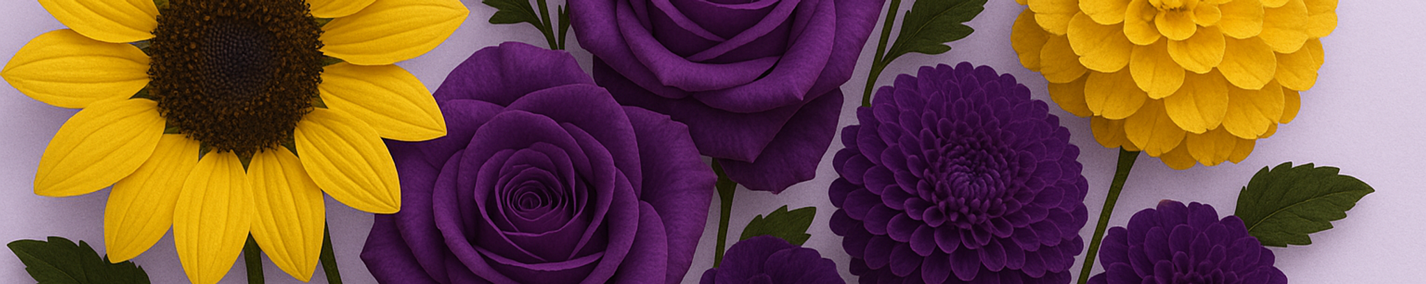 Cover for Patricia Hashman Cook's Obituary