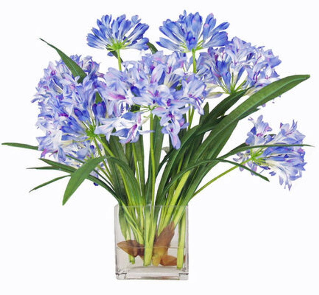 Wanda Ramsey Profile Photo