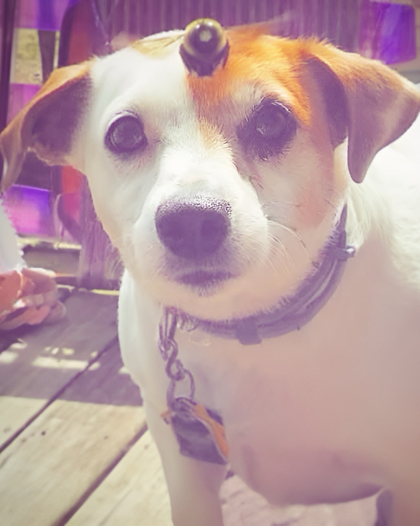 Zoe Marie Vinson Profile Photo