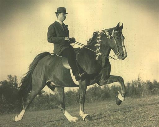 John Samuel "J S." Major Iv photo gallery thumbnail 8 of 51