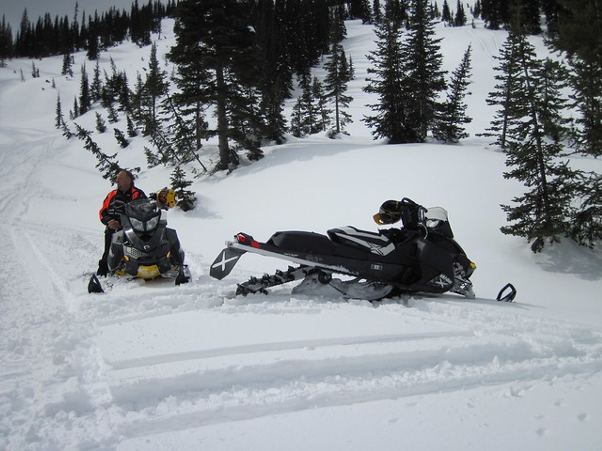 Cover photo for Layne Scott Williams's Obituary