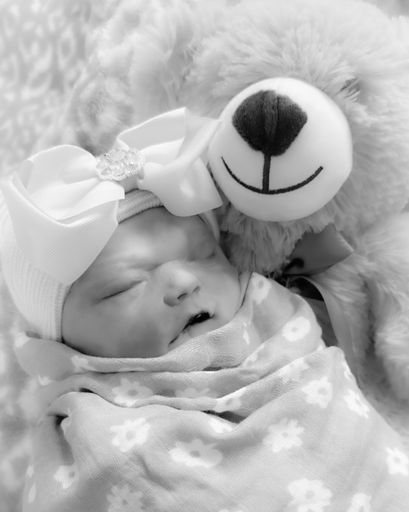 Sasha Lynn Levi's obituary image