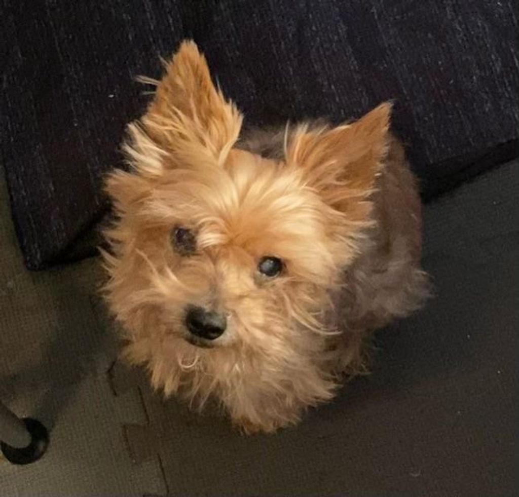 Scrappy "Tiny" Ballah