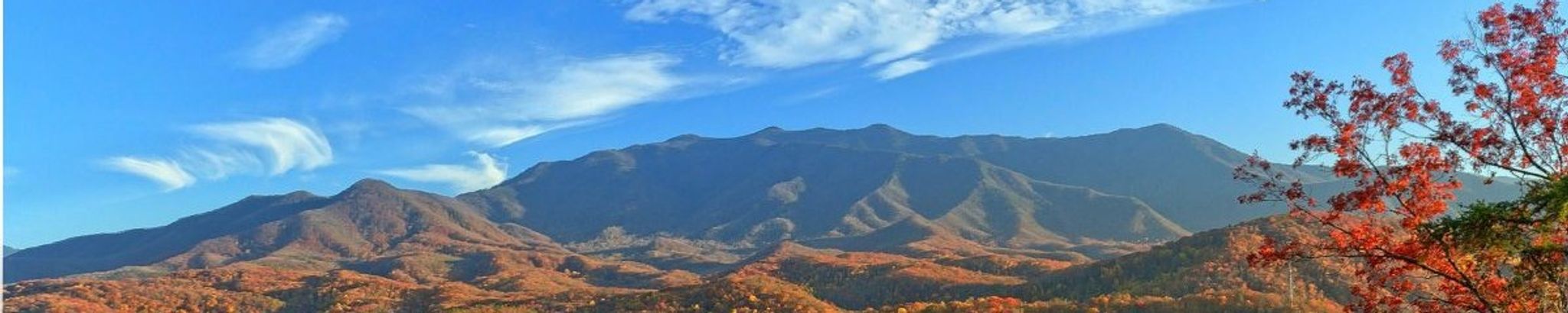 Cover photo for Gail Sue Roth's Obituary