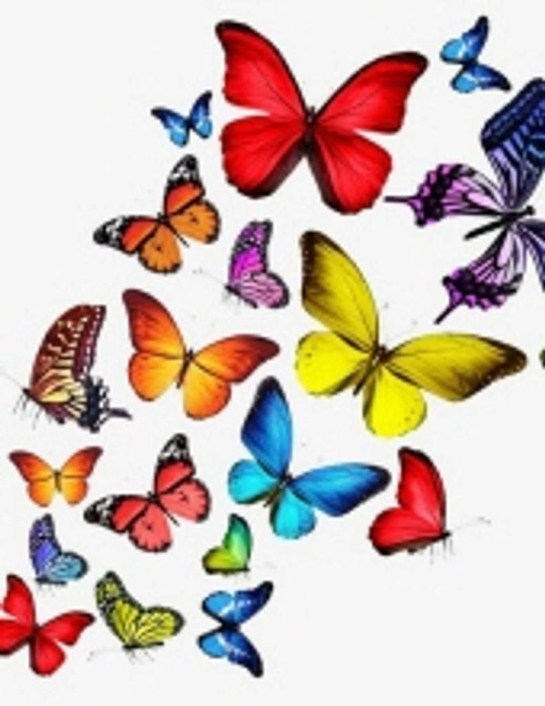 Charlene Kay (Ringberg) Wheaton