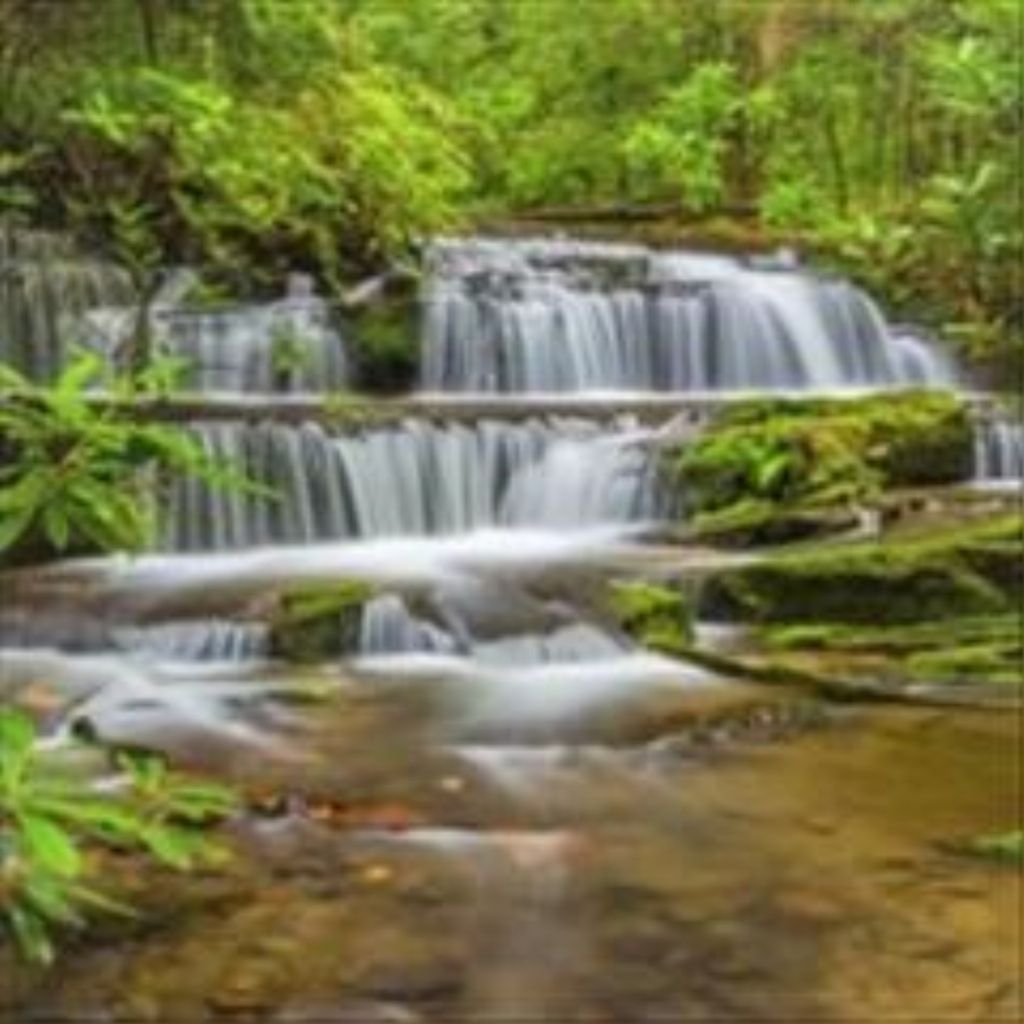 Nario Chipwelong Martin