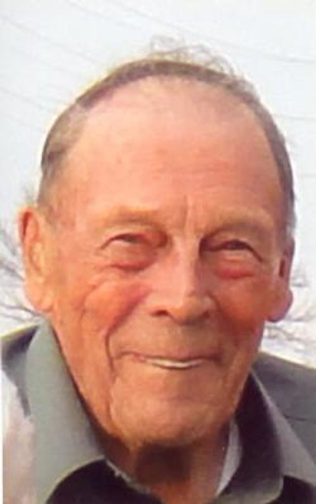 Robert A Reed