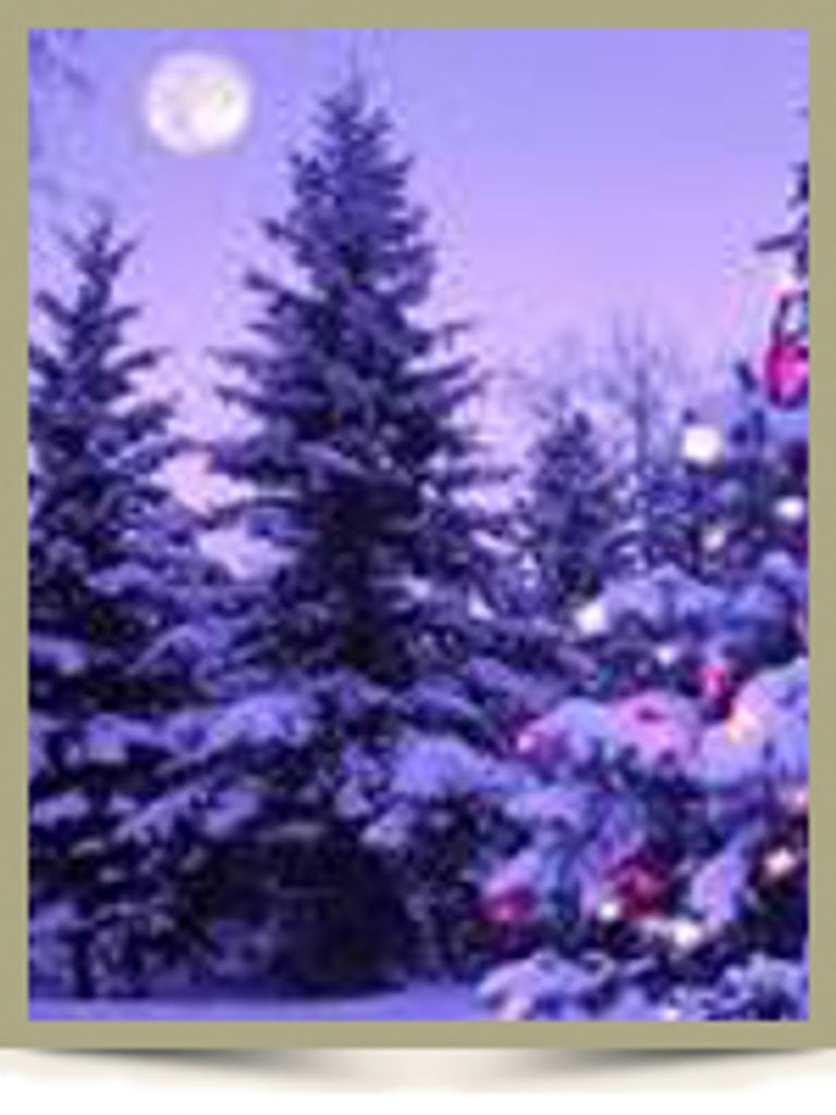 “Comfort At Christmas” Service