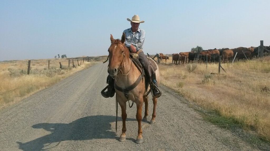 David Arthur Dashiell Profile Photo