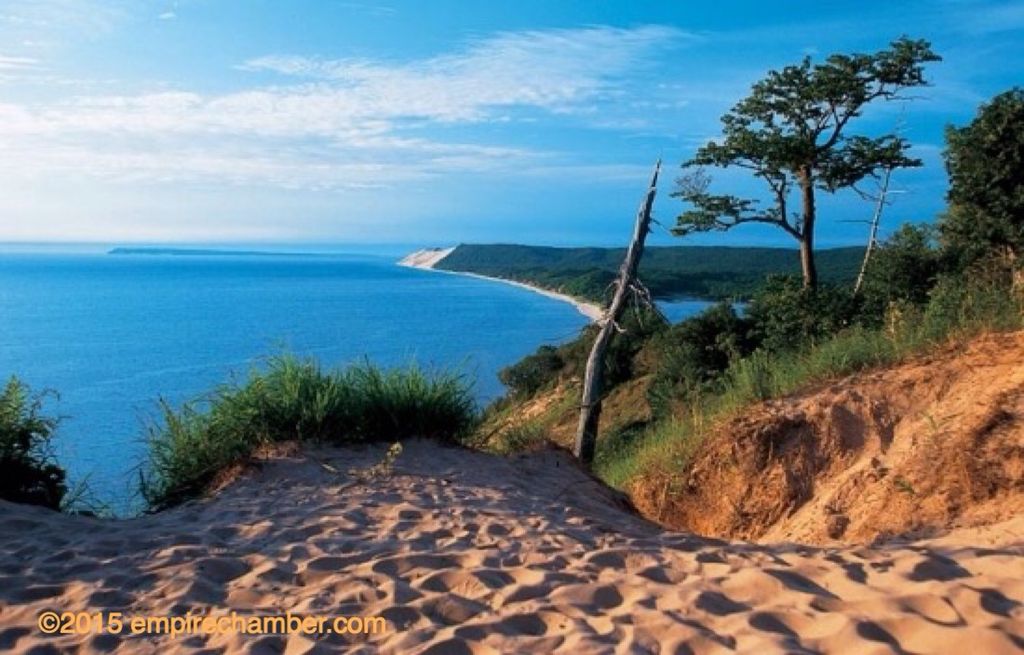 Tim Price Profile Photo