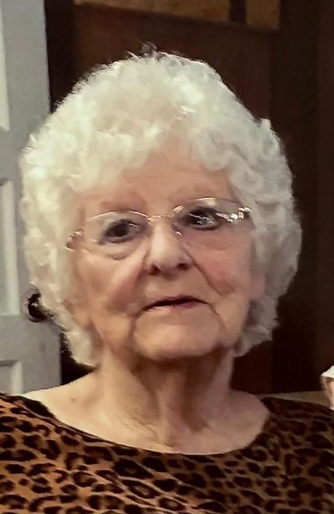 Patricia Ann Van Niewaal