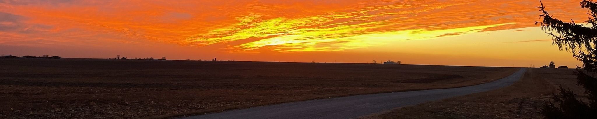 Cover for Phyllis Jean Strahm's Obituary