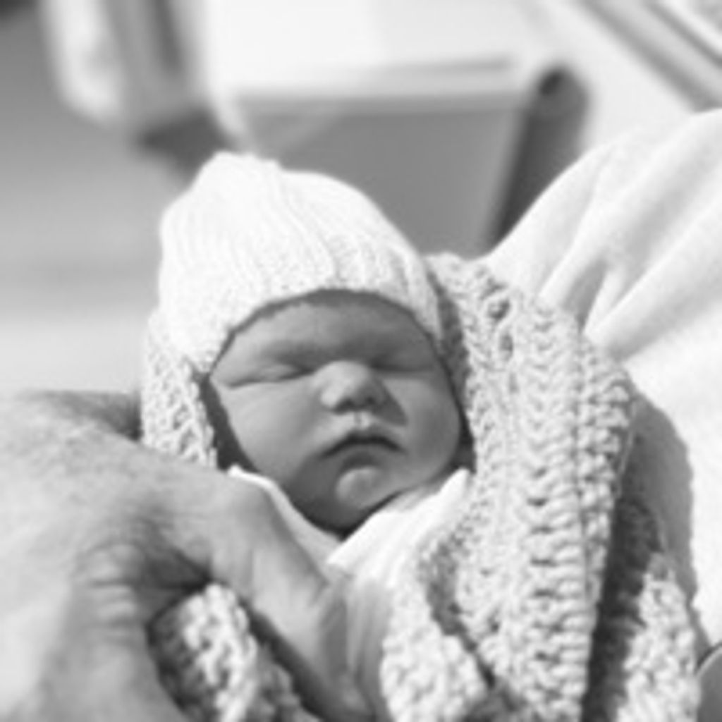Cove Lee Hayes Profile Photo