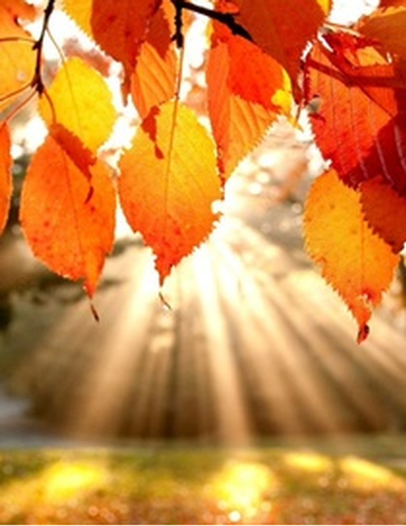 Anna Marie (Howard) Kirkland