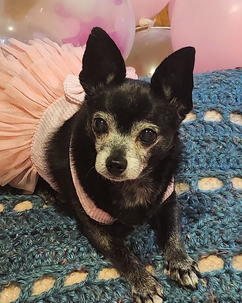 Coal Lacey Profile Photo